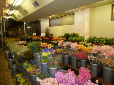 「カイナン」　（愛媛県四国中央市）の花屋店舗写真2